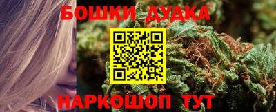 СК Балашиха