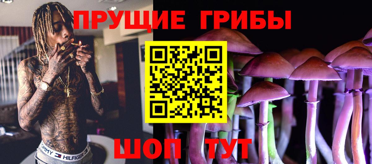 Псилоцибиновые грибы GOLDEN TEACHER Жуковский